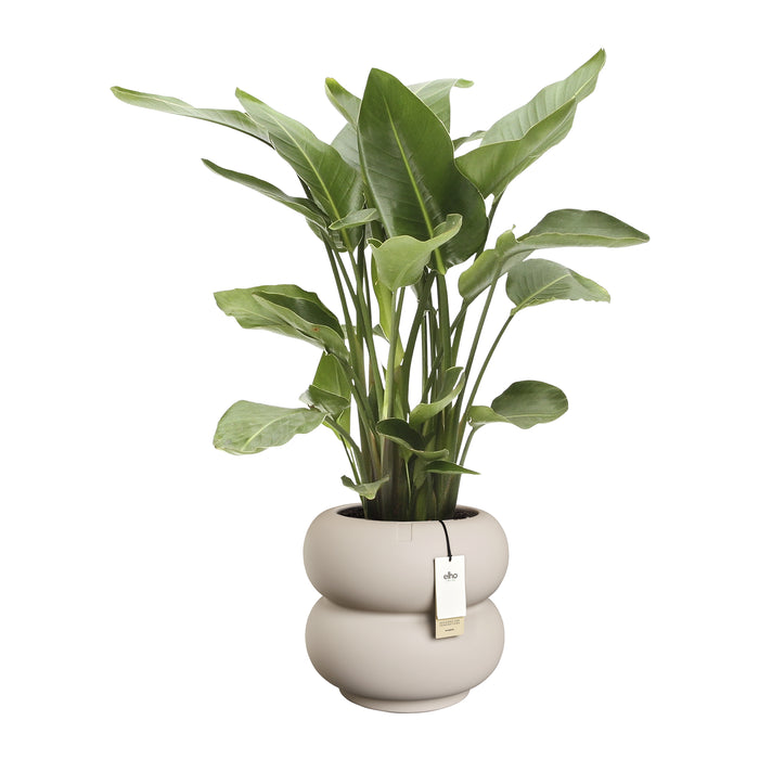 327617-x02-202501090122-C.jpg (9809040) 