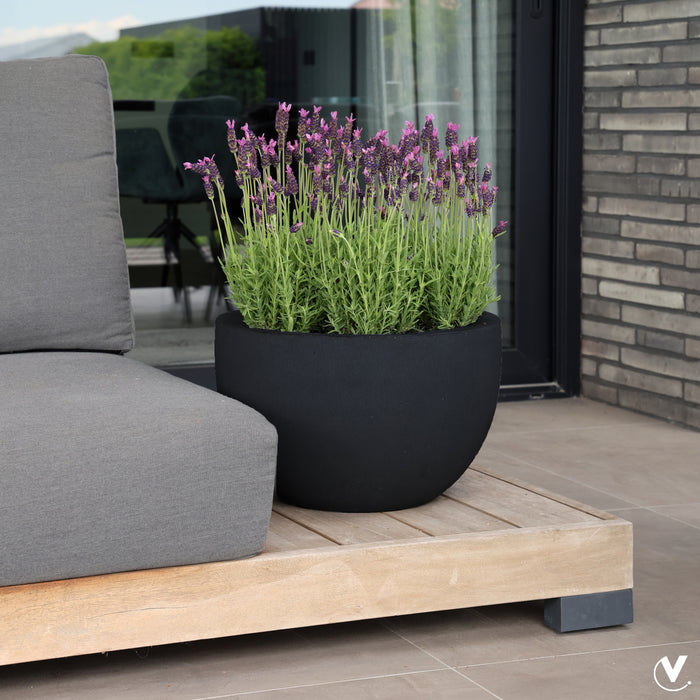 1f1e040b-a05b-41d4-9b96-1d07d3090557-vrijstaandbeeld.jpg (9809960) 