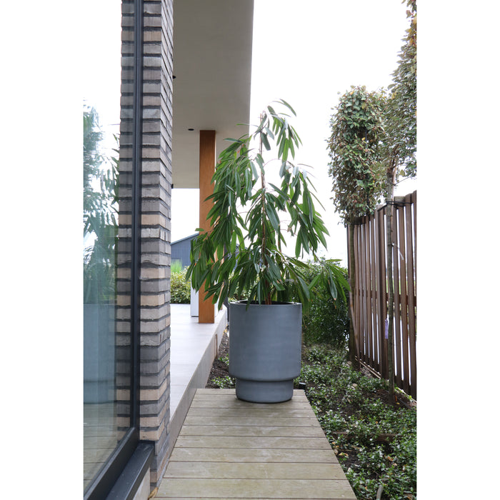 0ed33e5b-877f-47ec-85a9-f0c1b9226090-sfeerbeeld.jpg (9809972) 