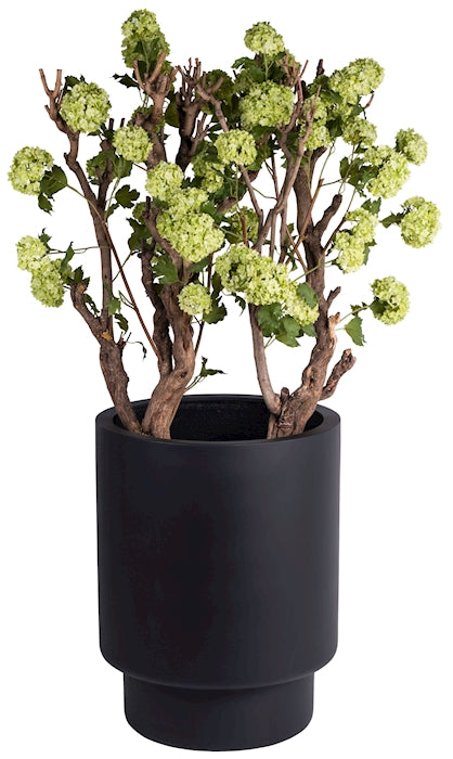 0581cbeb-a9d7-4d55-b648-6ad7fa2ffb3d-sfeerbeeld.jpg (9809978) 