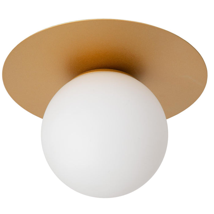 a55f64f7-da45-481d-bd6b-26012a1ef663-afbeelding3.jpg (9822569) 