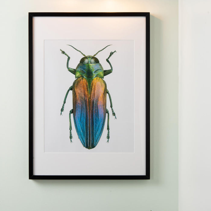 Lucide VINZ Schilderijverlichting - Mat Goud | Messing