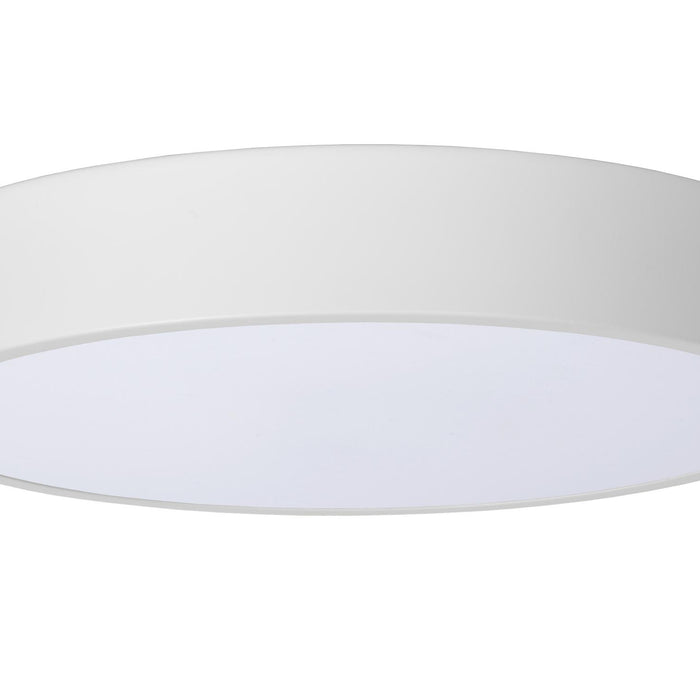 d24ae448-ba3e-4cc4-88cb-bd6ac47fd67a-afbeelding3.jpg (9824874) 