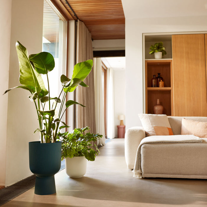 Elho Vibes Fold Coupe 30 - Blauw - L 30 x B  x H 45 cm - Binnen - 100% gerecycled