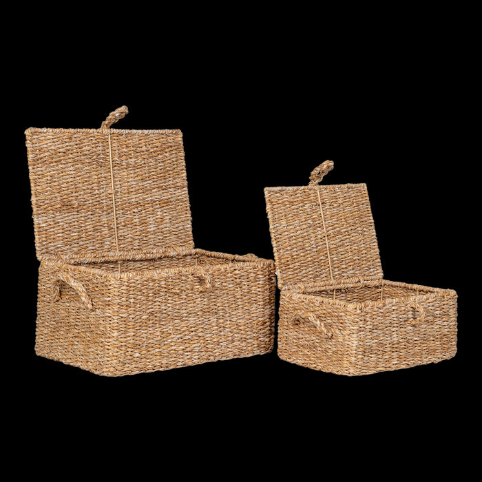 689806bc-8dcc-490b-b72c-a0a97d68e167-afbeelding4.jpg (9829822) 