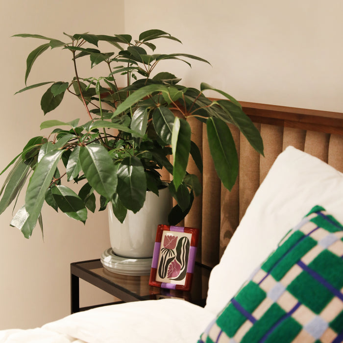 &klevering Rift Fotolijst 13 x 18 cm - Burgundy