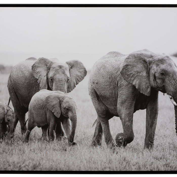 75e7410e-e184-45a1-958e-3a49851e82ff-vrijstaandbeeld.jpg (9880908) 