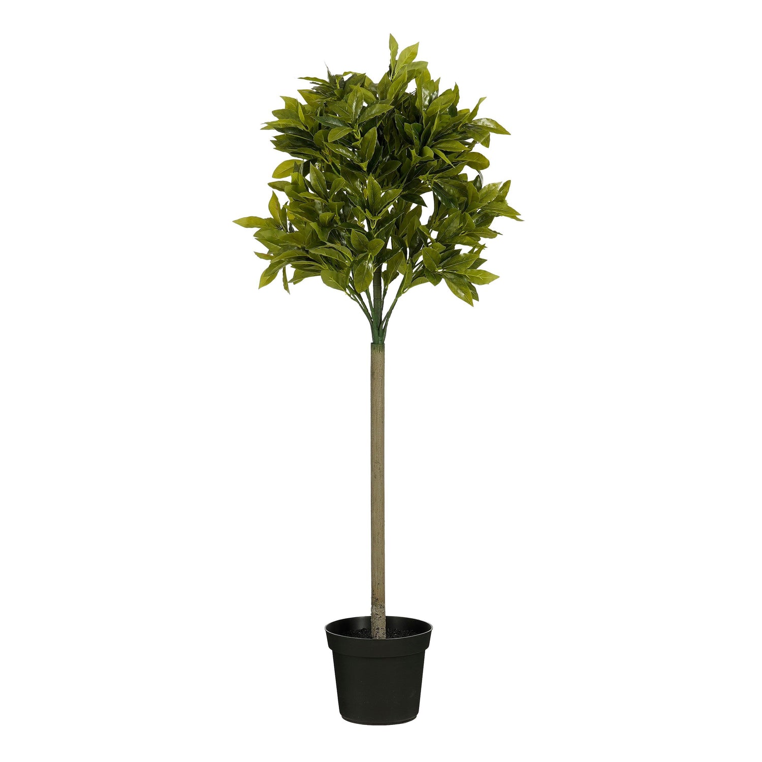 Mica Decorations Laurierboom Kunstplant - H120 x Ø40 cm - Groen