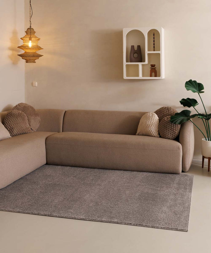 Tapeso Laagpolig vloerkleed Fine - lichtgrijs - 60x110 cm