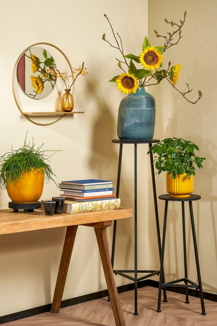 Mica Decorations Plantentafel - H120 x Ø35 cm - Metaal - Zwart