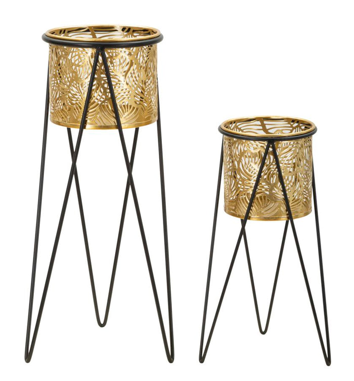 Mauro Ferretti Drak Set van 2 vazenhouders in goud metaal