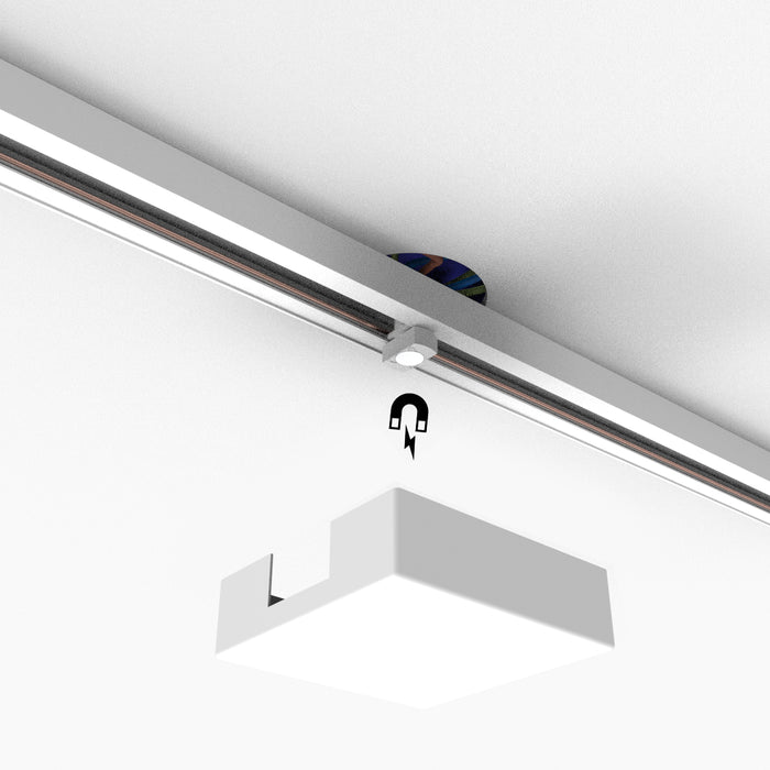 db146698-b2ea-43da-9949-7bcf9fdd9c98-afbeelding6.jpg (9911555) 