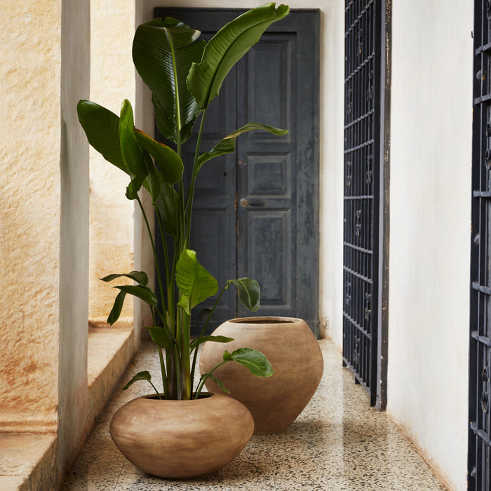 328269-x02-202502121450-A.jpg (9920148) 