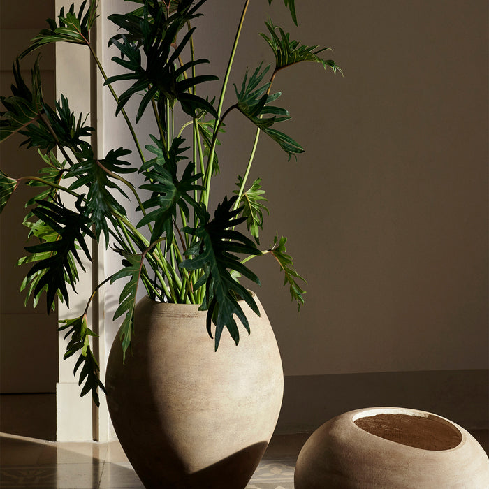 328270-x02-202502121450-A.jpg (9920151) 