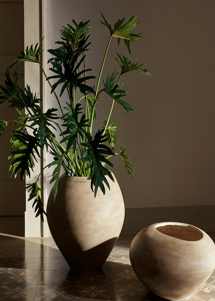 328270-x02-202502121450-A.jpg (9920151) 