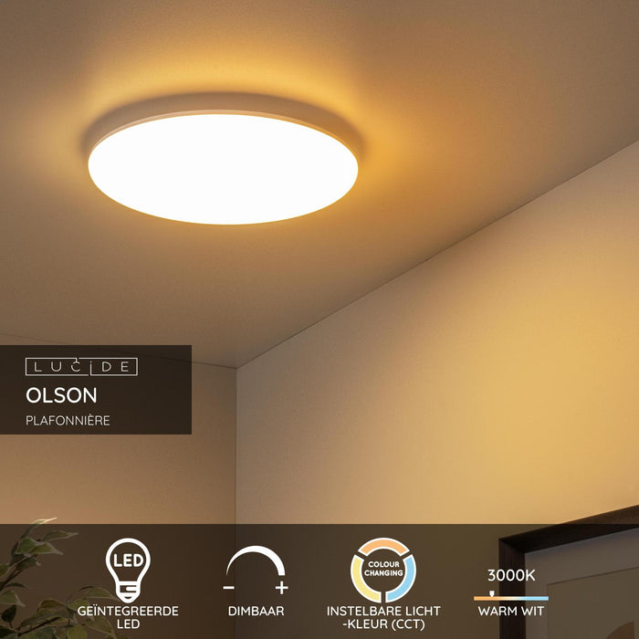 c756f311-ae4a-48f0-bf76-18b1434ec1e1-sfeerbeeld.jpg (9921147) 