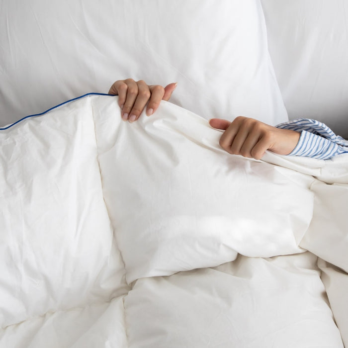 Fabiola - Zwaar Dons - 4-Seizoenen Dekbed - 260x220cm