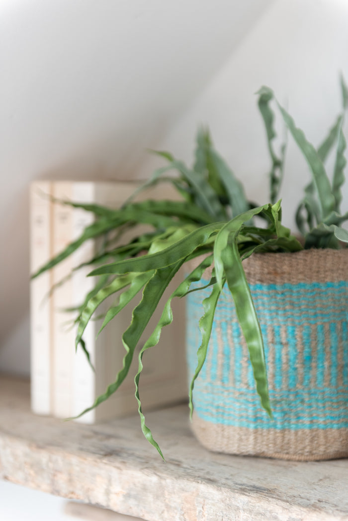 e90cd4e9-aa05-4dd3-85b9-90c75de29bfa-afbeelding3.jpg (9933124) 