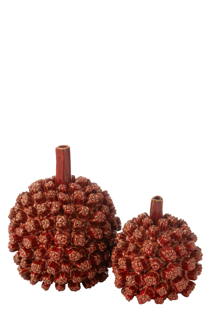 6d114d83-e2cf-4a68-a3b4-542f88d154c4-sfeerbeeld.jpg (9933171) 