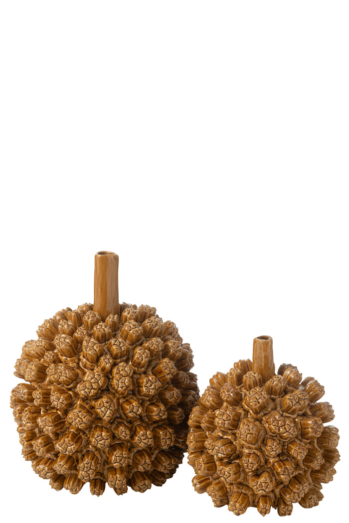 72581d74-10dd-4b26-ac3b-ca5f2711d032-sfeerbeeld.jpg (9933754) 