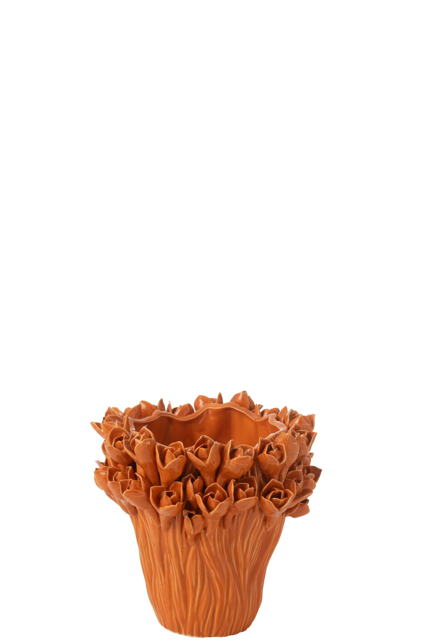 48b570fc-ce23-48f9-85ce-c3b1307ef48b-vrijstaandbeeld.jpg (9935128) 