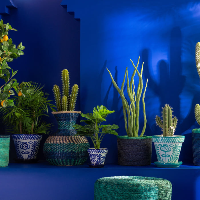 1158458c-b971-48b2-9fdc-ddccfd797cdb-afbeelding3.jpg (9935412) 