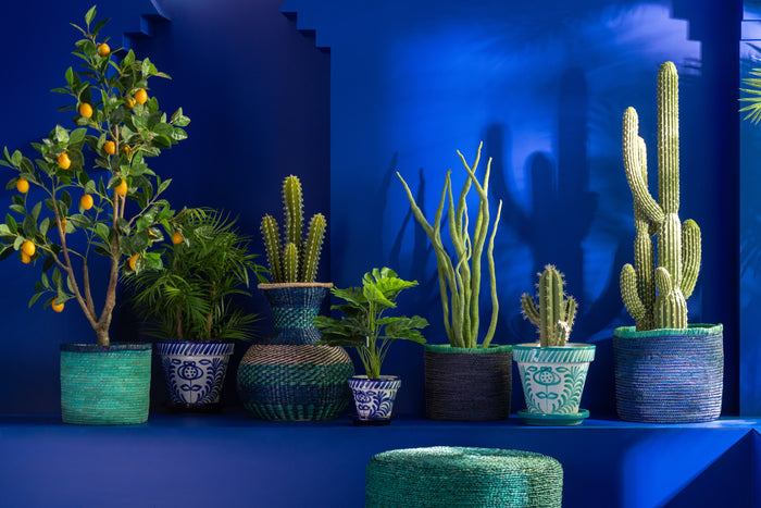 1158458c-b971-48b2-9fdc-ddccfd797cdb-afbeelding3.jpg (9935412) 