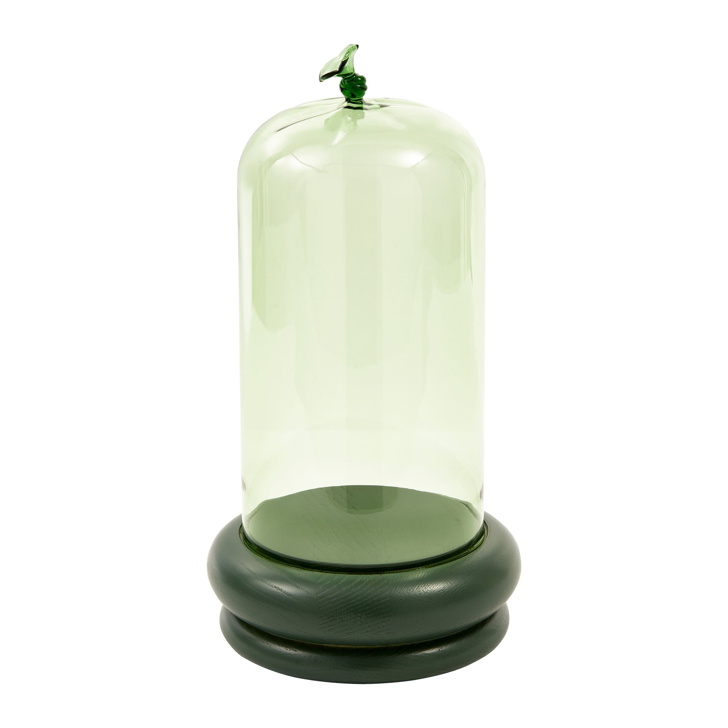 328411-x00-202502250722-C.jpg (9946169) 