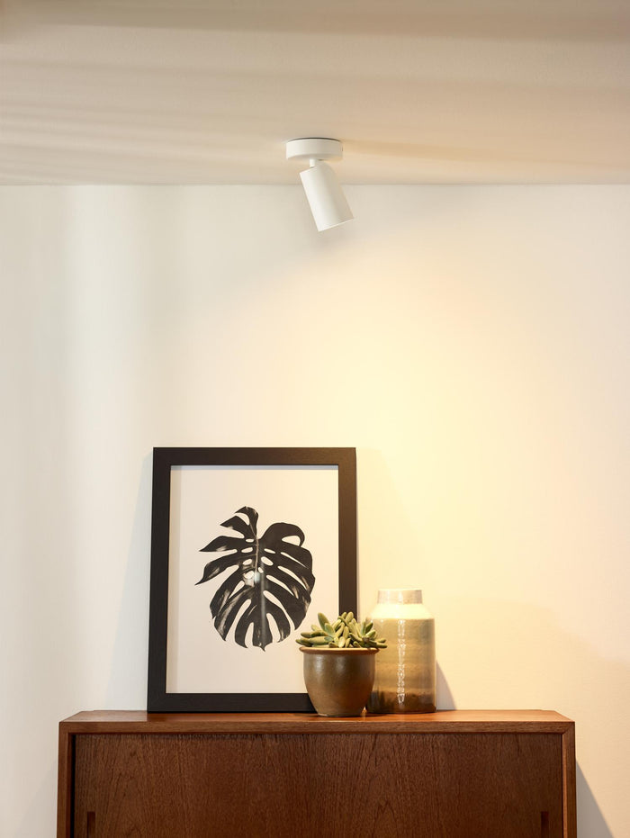 fb0946dd-49de-4478-b3d7-e2ef8d61ae3e-afbeelding4.jpg (9949150) 