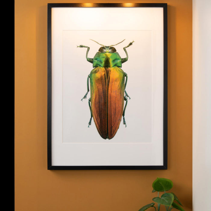 Lucide VINZ Schilderijverlichting - Zwart