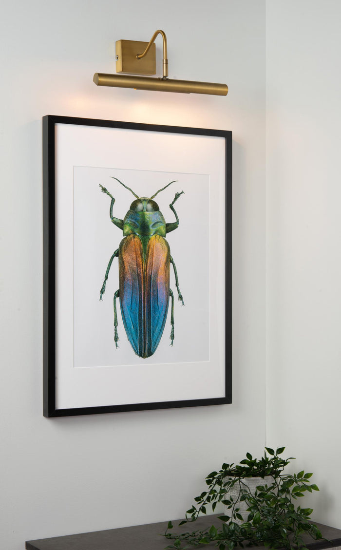 Lucide VINZ Schilderijverlichting - Mat Goud | Messing