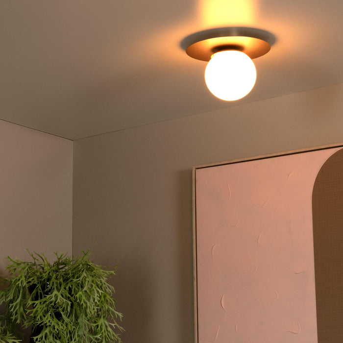 a55f64f7-da45-481d-bd6b-26012a1ef663-afbeelding4.jpg (9951109) 