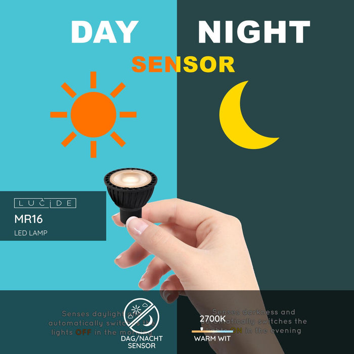 6ee4cd0e-21bc-440a-ad62-67f06956917d-sfeerbeeld.jpg (9952970) 