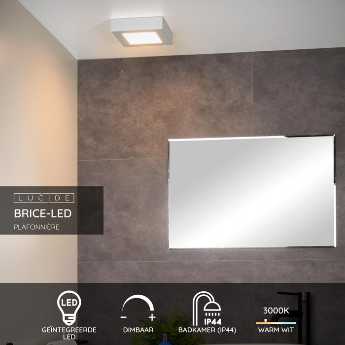 15e8ee55-23cf-4045-bf52-f98194aa411b-sfeerbeeld.jpg (9953742) 