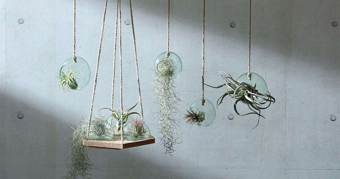 L.S.A. - Canopy Plantenhanger ø 12 cm