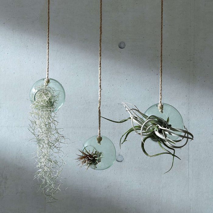 L.S.A. - Canopy Plantenhanger ø 12 cm
