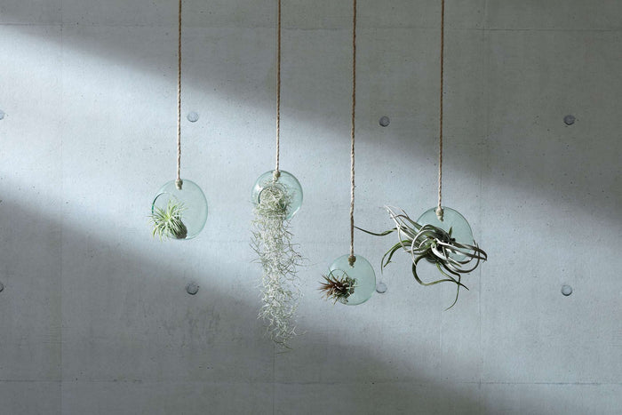 L.S.A. - Canopy Plantenhanger ø 10 cm