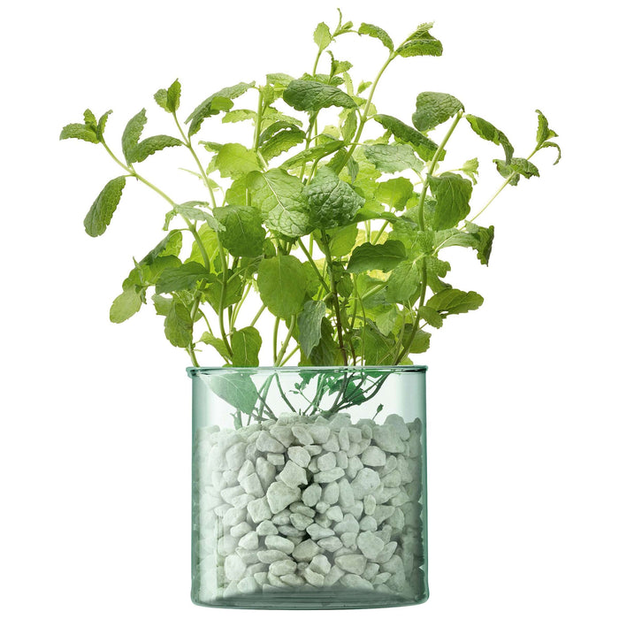 L.S.A. - Canopy Vaas 14 cm Recycled