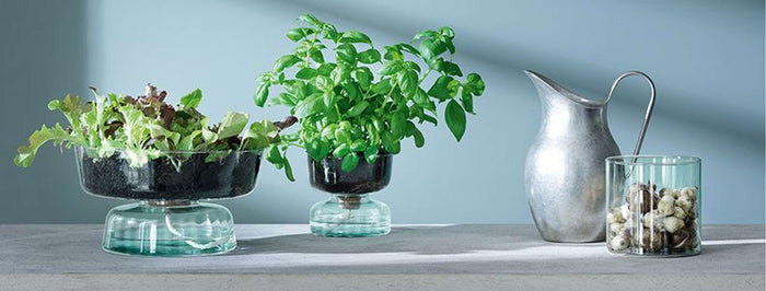 L.S.A. - Canopy Vaas 14 cm Recycled