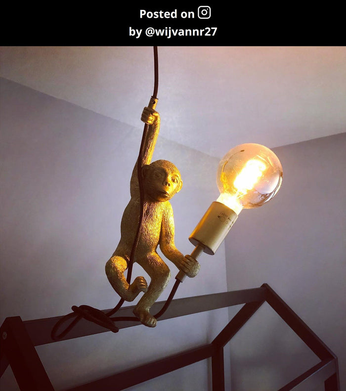 Lucide EXTRAVAGANZA CHIMP Hanglamp - Zwart
