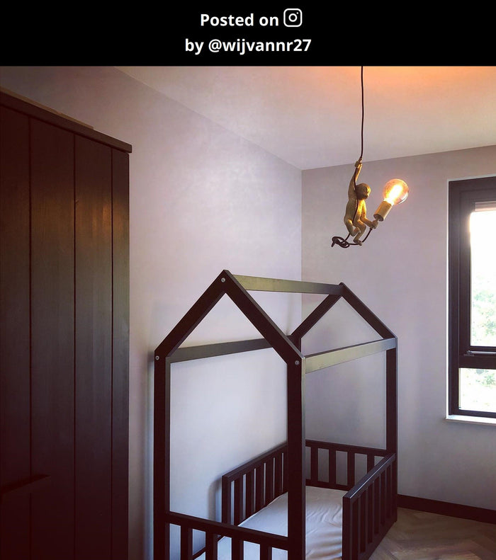 Lucide EXTRAVAGANZA CHIMP Hanglamp - Zwart