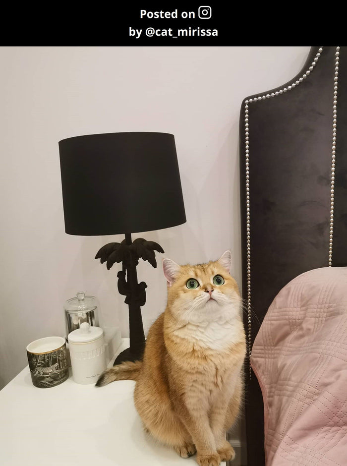 Lucide EXTRAVAGANZA COCONUT Tafellamp - Zwart