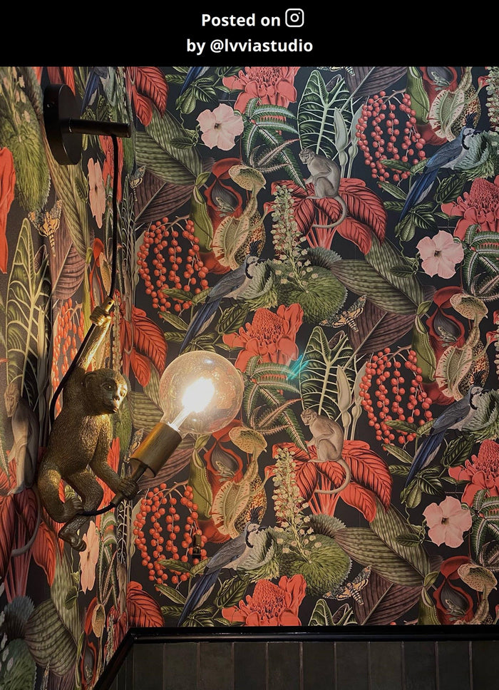 Lucide EXTRAVAGANZA CHIMP Wandlamp - Zwart