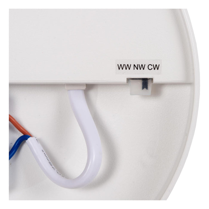 dd8393af-265c-47a4-aa28-80bc52943eff-afbeelding8.jpg (9972603) 