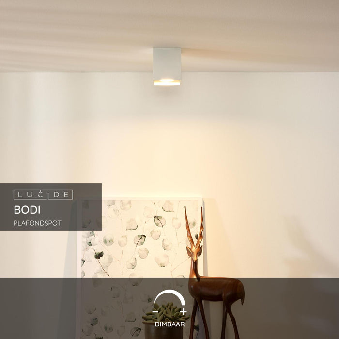 35e7d8dc-cd7d-425b-a9cf-48737d08377a-sfeerbeeld.jpg (9973414) 