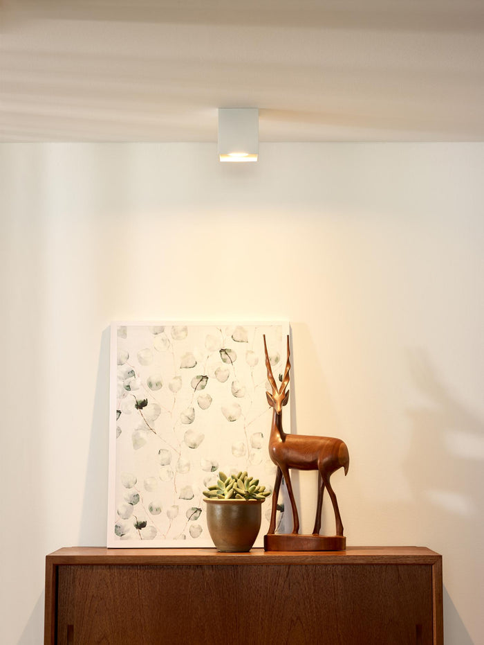 35e7d8dc-cd7d-425b-a9cf-48737d08377a-afbeelding4.jpg (9973419) 