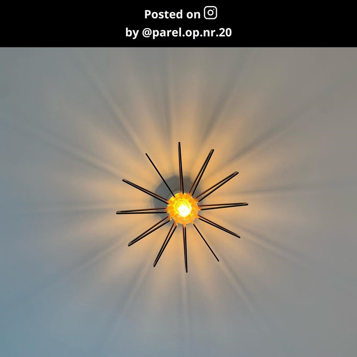 a450ee6d-0711-4202-9795-104ec50dc0d0-afbeelding11.jpg (9973448) 