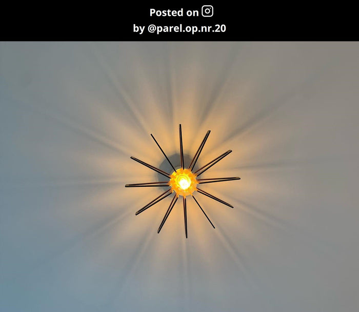 a450ee6d-0711-4202-9795-104ec50dc0d0-afbeelding11.jpg (9973448) 