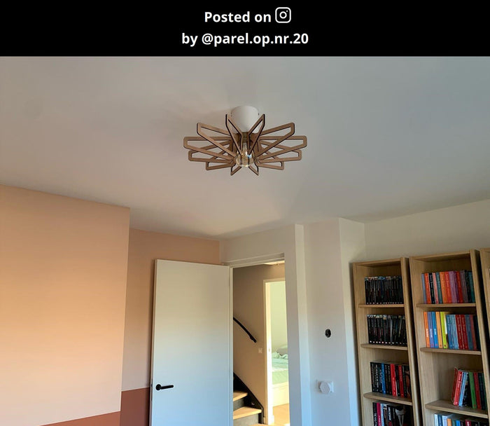 a450ee6d-0711-4202-9795-104ec50dc0d0-afbeelding12.jpg (9973449) 