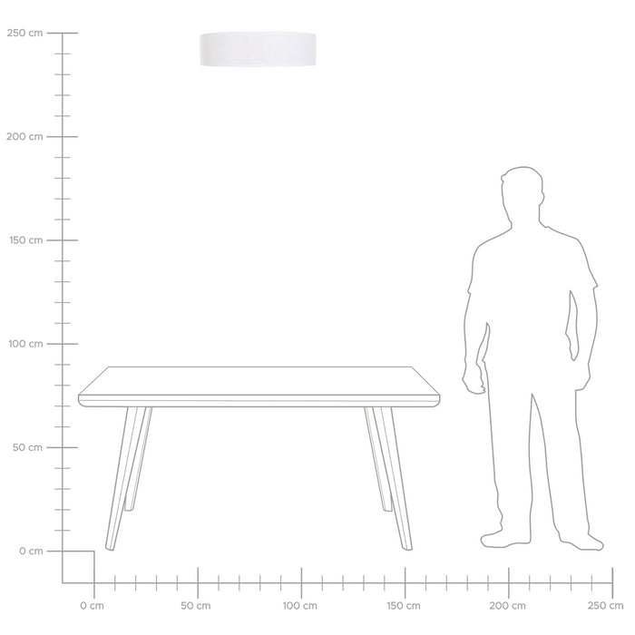 8593d3a4-c89a-4340-9a72-30fc9333417e-afbeelding7.jpg (9984868) 